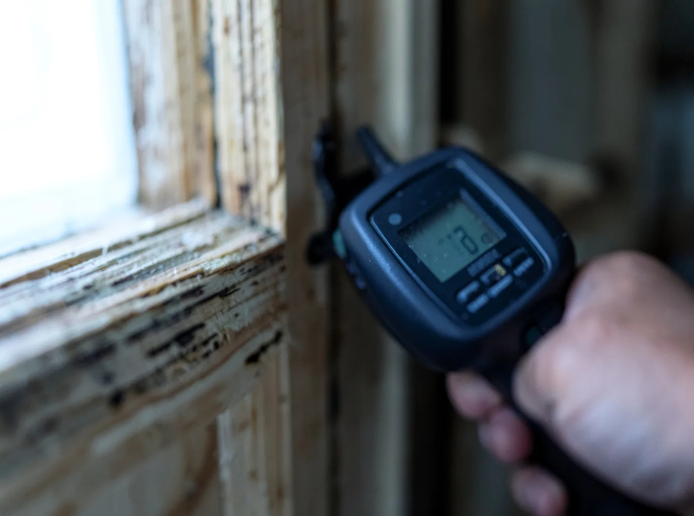 Moisture Inspection And Documentation in Hallsville, TX